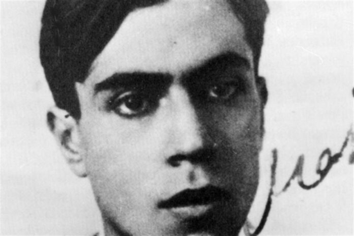 majorana